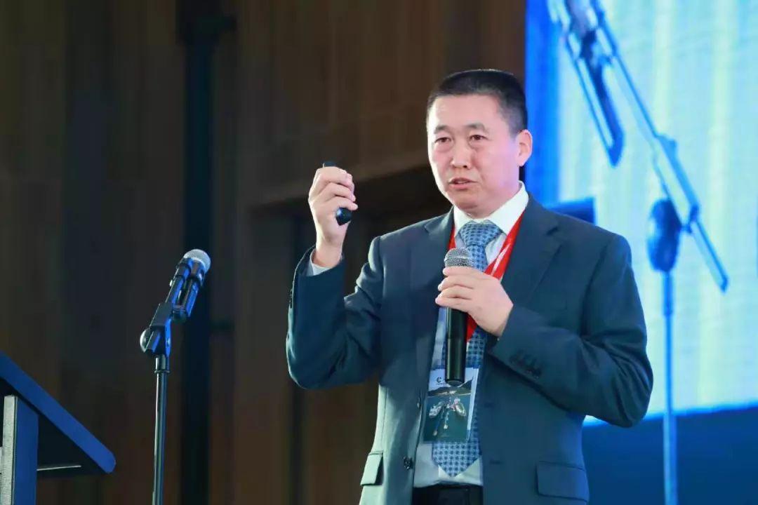 邁向2025，探索新奧正版免費資本的機遇與挑戰，邁向2025，新奧正版免費資本的機遇與挑戰探索